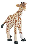 giraffe baby.jpg